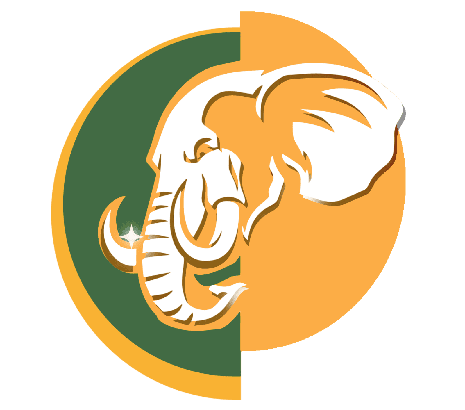 Ivoire Académie Football Club